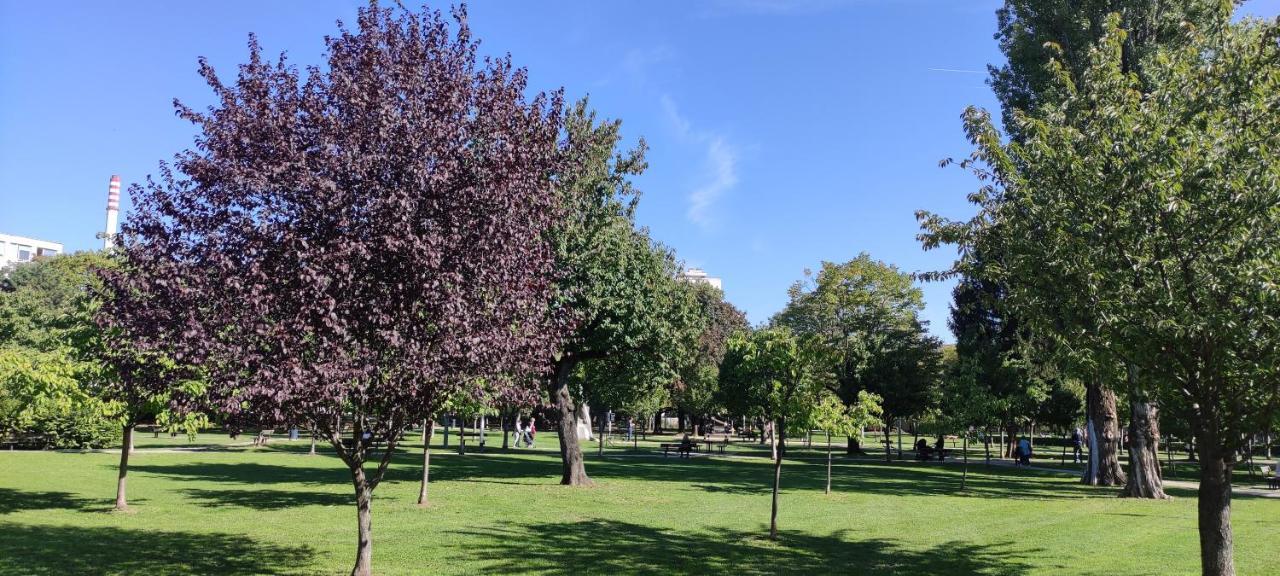 Aurelia'S Comfy Place With Free Parking Zagabria Esterno foto